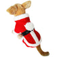 🔥 LAST DAY PROMOTION - 50%OFF 🎄Christmas Discounts🎄Autumn And Winter Cat Christmas Dog Clothes